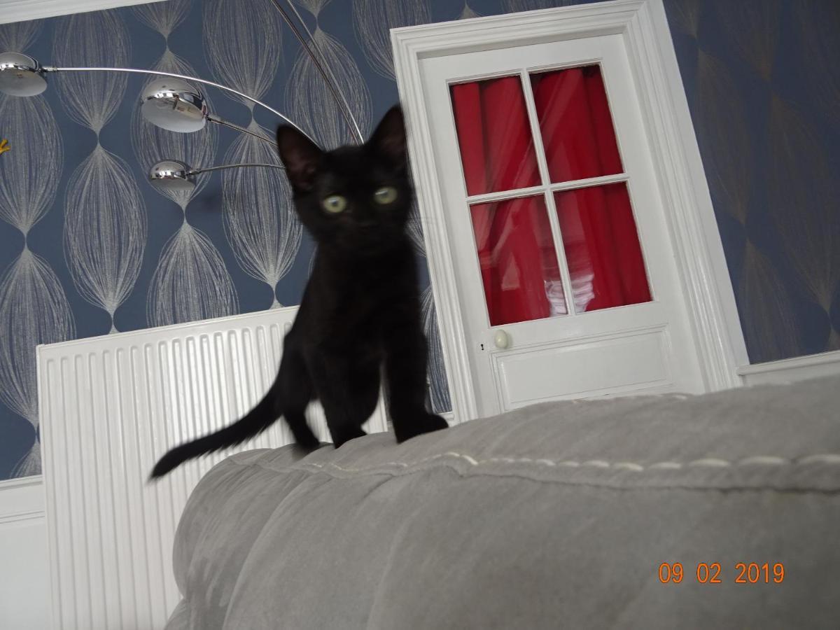 La Ferme Aux Chats Formigny Exterior foto
